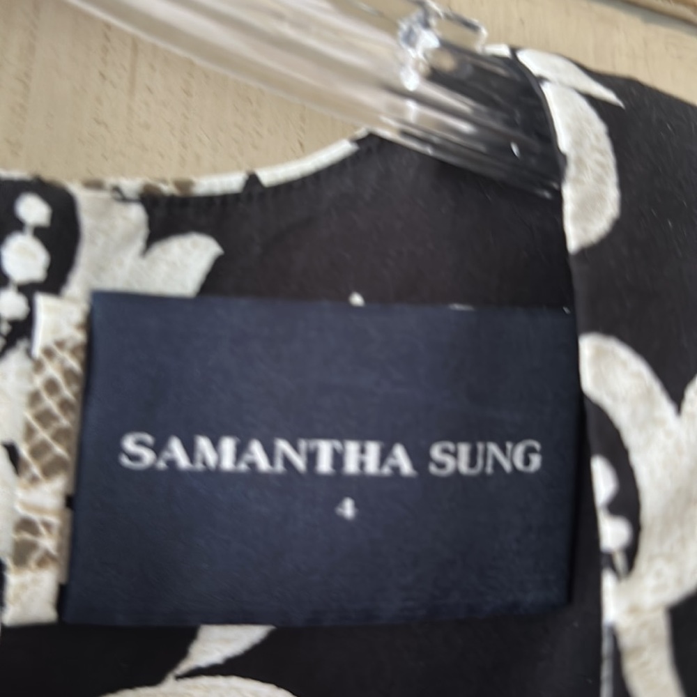 Samantha Sung designer dress ๐ - Picture 3 of 13